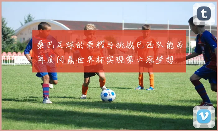 桑巴足球的荣耀与挑战巴西队能否再度问鼎世界杯实现第六冠梦想
